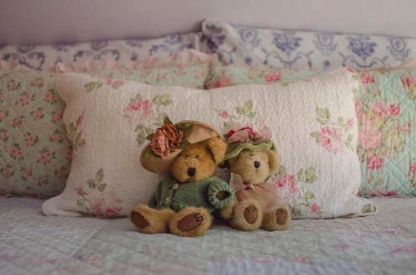 Tea Rose Inn At Plymouth, Nh Екстер'єр фото